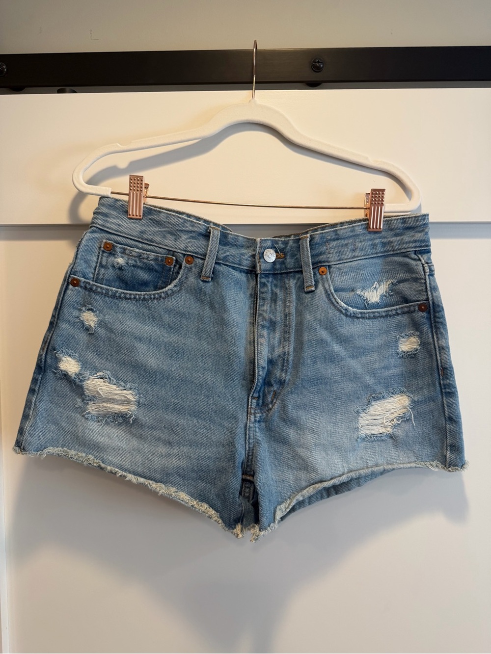 Madewell Light Blue Distressed Denim Cutoff Shorts